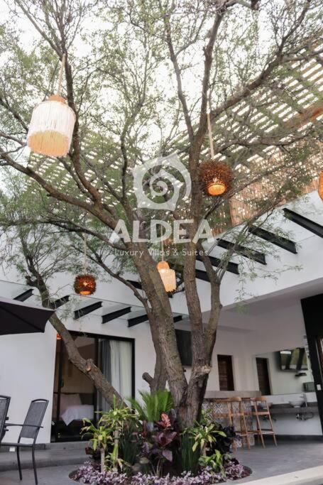 Villa Huizache Alberca Privada+Exclusividad+Lujo San Martín de las Pirámides Exteriör bild